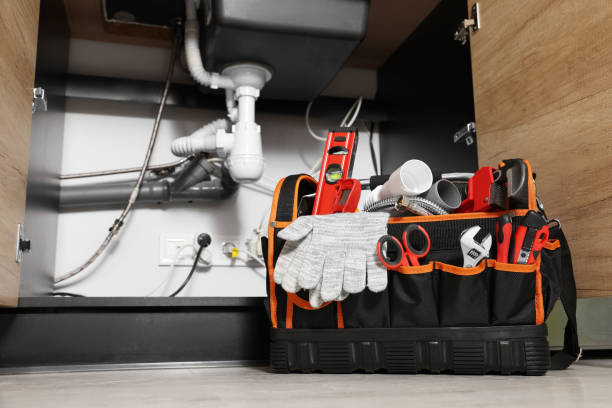 Best 24-Hour Plumber Near Me  in Belleville, MI
