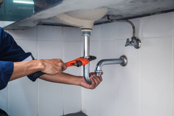Best Drain Cleaning Services  in Belleville, MI