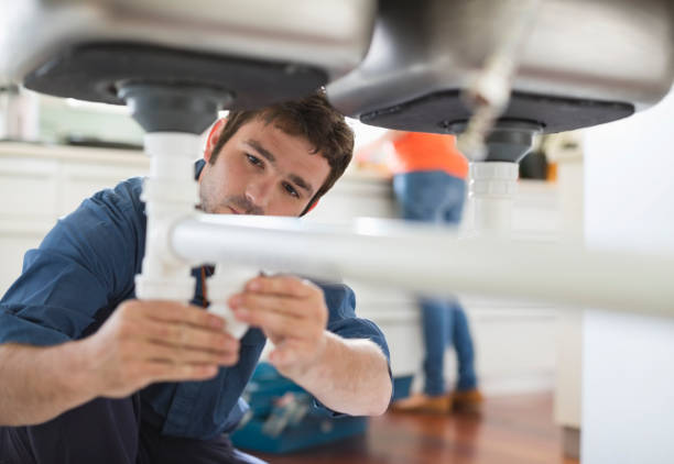 Best Local Plumber Services  in Belleville, MI